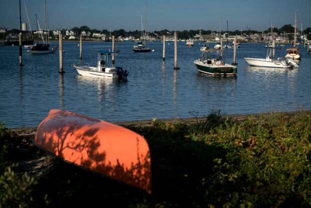 Martha's Vineyard lake