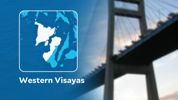 Neda-6 clarifies inter-island Western Visayas bridge construction to start in 2025
